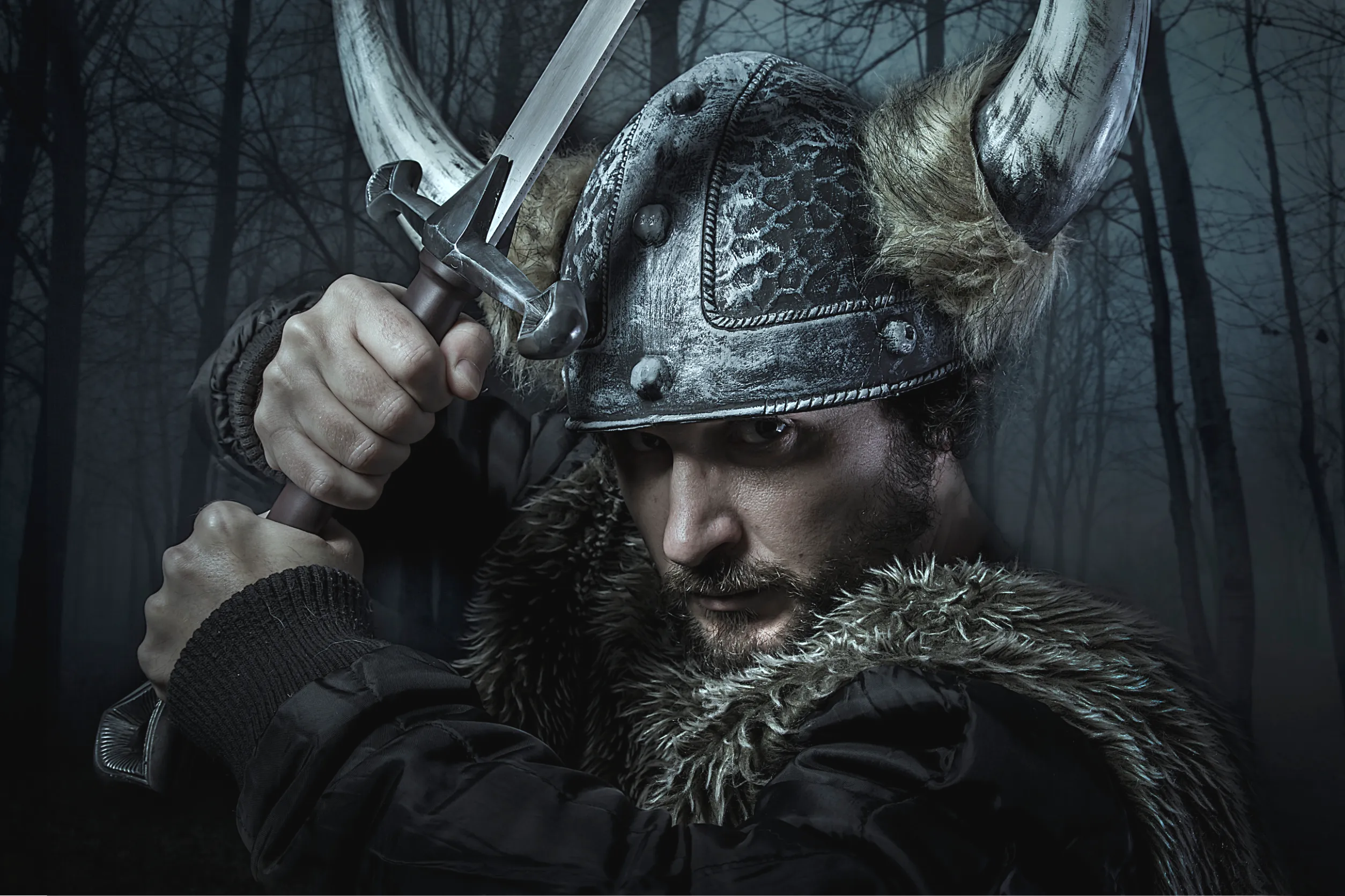 Male Viking Halloween Costume Ideas